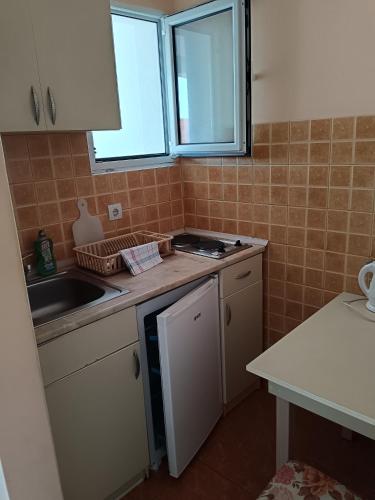 Köök või kööginurk majutusasutuses Vila Vukotić