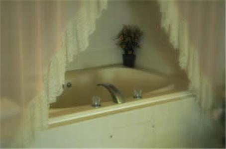 d'une baignoire avec un lavabo et une plante. dans l'établissement Lakeview Inn, à Willmar