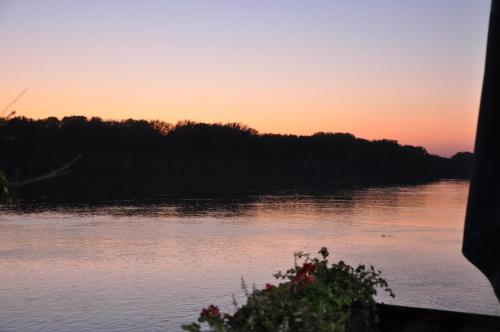 a sunset over a body of water with trees at Guest house Pikec in Bezdan