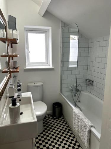 a bathroom with a toilet and a sink and a shower at Hanushka in Hastings