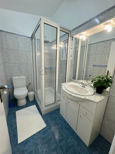 a bathroom with a toilet and a sink and a shower at Arco Apartment in Arco da Calheta