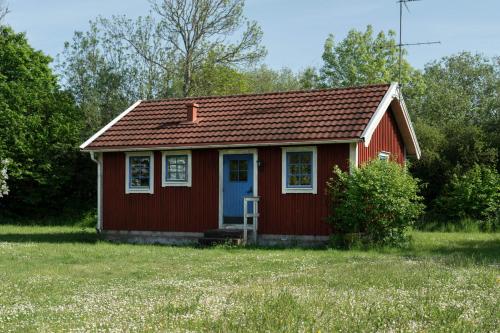 a small red house with a blue door in a field at Kackelstugan in Borgholm