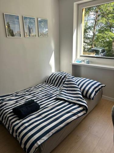 a bedroom with a striped bed with a window at A&P Studio in Gdynia