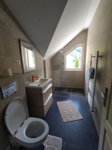 a bathroom with a toilet and a sink at Tarnita Summer House in Someşu Cald