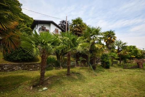a house with palm trees in front of a yard at Villa di paese - Splendida vista lago Maggiore in Oggebbio