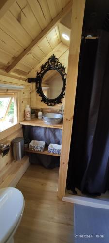 une salle de bain avec un lavabo et un miroir dans une pièce dans l'établissement Insolite KOTA avec SPA et demi Bt de champagne offerte, à Ruch