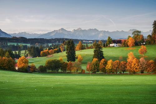 a green field with trees and mountains in the background at Hotel Auf der Gsteig GmbH in Lechbruck