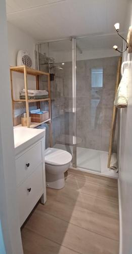 une salle de bain avec toilettes et douche en verre dans l'établissement Villa Benvengudo, à Villeneuve-lès-Avignon