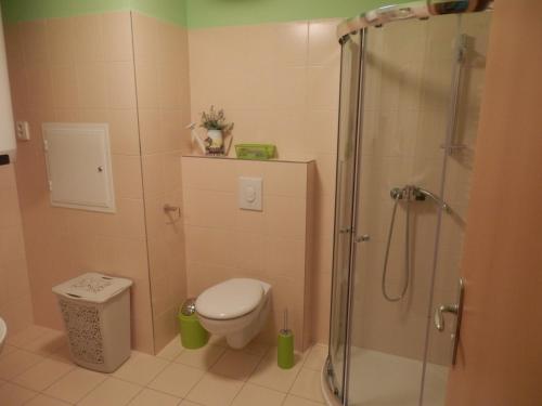 La salle de bains est pourvue de toilettes et d'une douche en verre. dans l'établissement Ubytování U lázní Aurora, à Třeboň