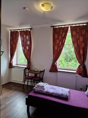 a bedroom with a bed and a table and windows at Vlčí Jámy in Lenora