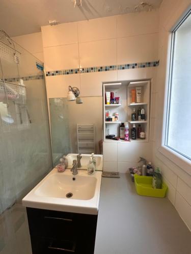 une salle de bain avec un lavabo et une douche dans l'établissement Chambres dans Grand Appartement - Centre-ville, à Montpellier