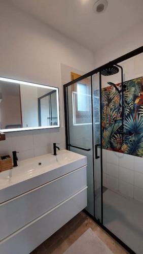 une salle de bain avec un lavabo, un miroir et une douche dans l'établissement Maison et piscine bien située en sud ardeche très grand jardin, à Saint-Paul-le-Jeune