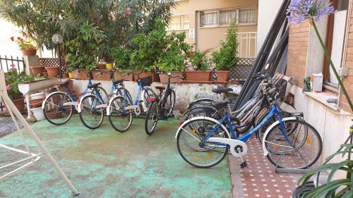 Ποδηλασία στο Piccolo hotel holiday center ή στη γύρω περιοχή