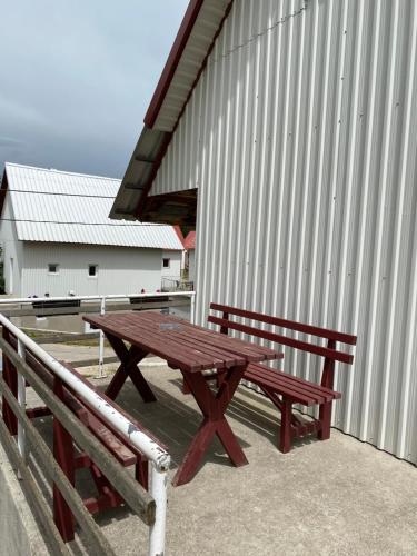 a picnic table and benches next to a building at Verica Rooms in Žabljak