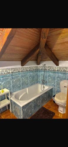a bathroom with a tub and a toilet at Villa Natalia in La Zarzuela