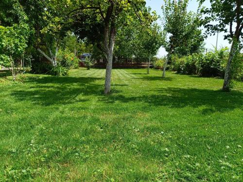 a green yard with trees in the grass at Salaš Striber in Vrbas