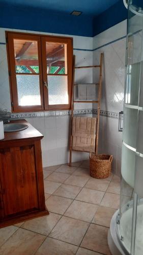 une salle de bain avec un lavabo et une douche en verre dans l'établissement Maison de campagne près d'un plan d'eau et des belles forêts !, à Pargny-Filain