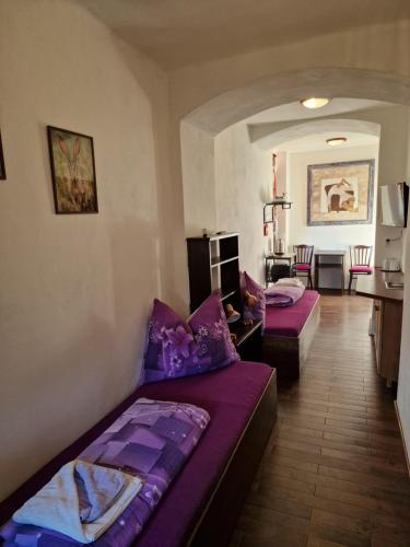 a living room with two beds in a room at Vlčí Jámy in Lenora