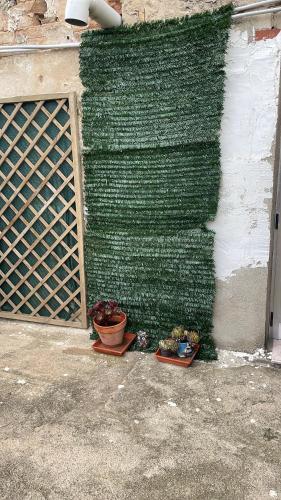 a green wall with some plants on the ground at LA GARROFERA in Aldover