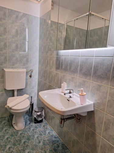 a bathroom with a toilet and a sink and a mirror at Župnijski apartmaji in Dolenjske Toplice