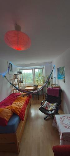 弗莱堡维格森布里克奥特捷恩酒店的一间卧室设有吊床和窗户。