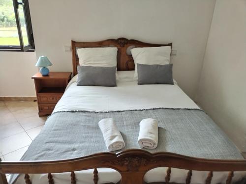 a bedroom with a bed with two towels on it at La petite Ginette in Serres