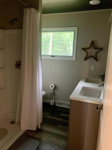 a bathroom with a sink and a shower curtain at Starry Night in Danbury