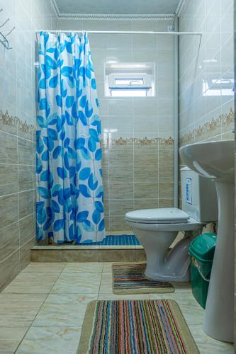 a bathroom with a toilet and a shower and a sink at Guest house and yurt camp Svetlana in Bokonbayevo