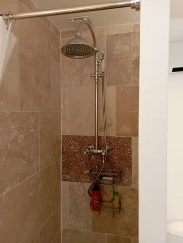 une douche avec pommeau de douche dans une salle de bain dans l'établissement Duplex La Terrasse Jasmin, à Mèze