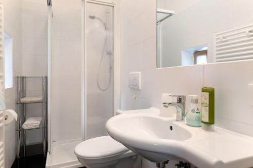 a bathroom with a sink and a toilet and a shower at Friedheim Appartments in Sarntal