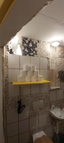 弗莱堡维格森布里克奥特捷恩酒店的墙上有架子的浴室,配有水槽