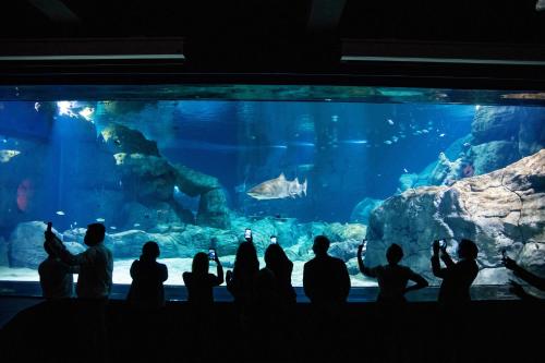 a group of people sitting in front of a large aquarium at Le Suffren Hotel & Marina in Port Louis