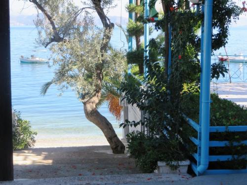 Φυσικό τοπίο κοντά σε αυτό το διαμέρισμα