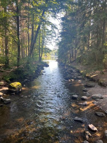 a stream with rocks in the middle of a forest at Pool House in Tyresö