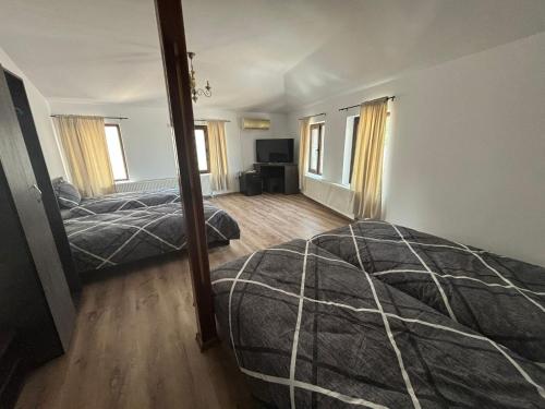 a bedroom with two beds and a mirror at Alexander Residence in Brăila