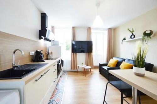 une cuisine et un salon avec un canapé dans l'établissement RB-1G - Appartement F2 au 1er étage à Mulhouse de 1 à 3 pers, à Mulhouse