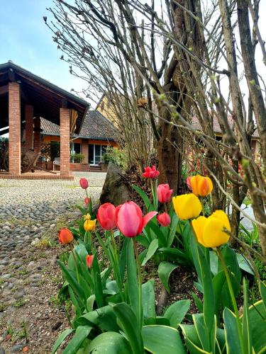 Un jardín fuera de Agriturismo Vignarello