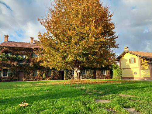 Un jardín fuera de Agriturismo Vignarello
