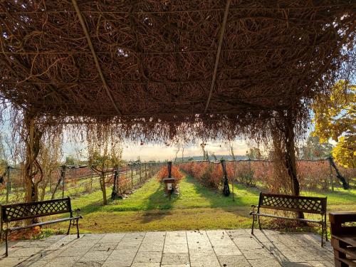 Un jardín fuera de Agriturismo Vignarello