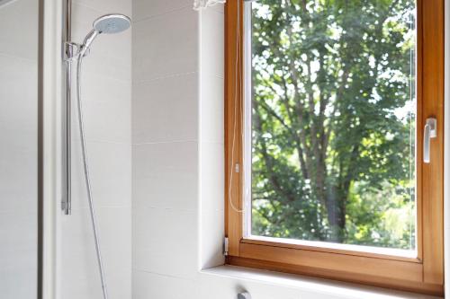 a shower in a bathroom with a window at Silbernagl - Monolokal mit Ausblick in Issengo