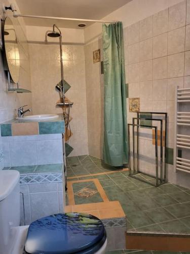 une salle de bain avec douche et toilettes dans l'établissement BEAU STUDIO pour 4 p à 5 mn de la plage, à Villeneuve-Loubet
