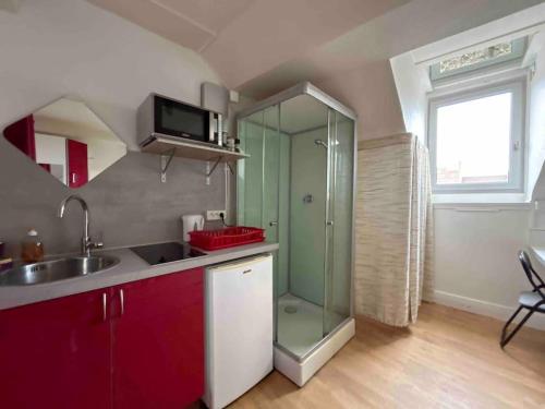 - une cuisine avec un évier et une douche en verre dans l'établissement L'Essentiel, à Dijon