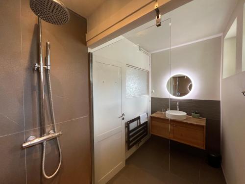 a bathroom with a shower and a sink at Les Quatre Saisons de Chambord in Maslives