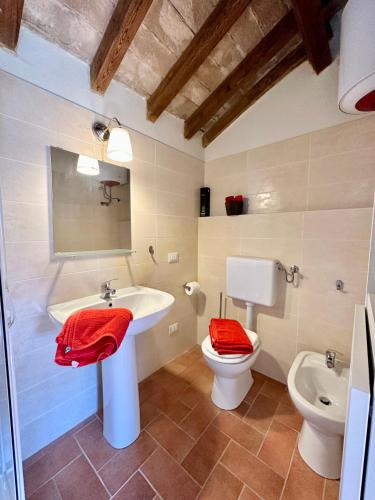 a bathroom with a sink and a toilet at Oltrella Country House in Ponte Nizza