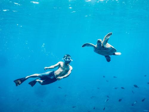 Mad Monkey Gili Trawangan