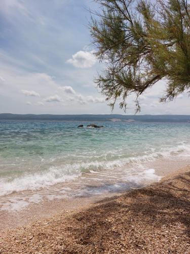 a beach with a tree and the ocean at Graceful LJUPKA GETAWAY by the sea - Lokva Rogoznica, Omiš in Lokva Rogoznica