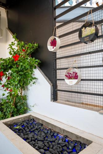 Gambar di galeri bagi Mato Luxury Apartments di Sarandë