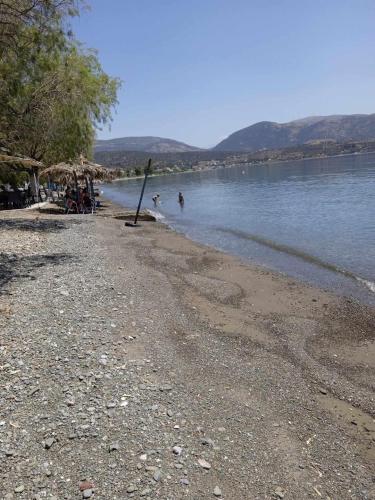 a beach with people swimming in the water at πιθαρι in Vitrinítsa