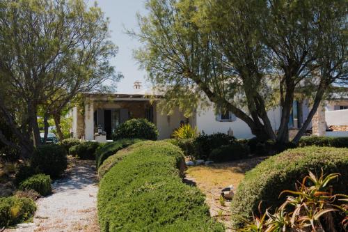 a house with hedges in the front yard at Kalma villa in Santa Maria