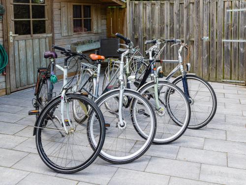 Berbasikal di atau sekitar COZY & SPACIOUS PLACE ON A QUIET SPOT IN THE MIDDLE OF THE NETHERLANDS with free use of 2 women's and 2 men's bikes plus child seat